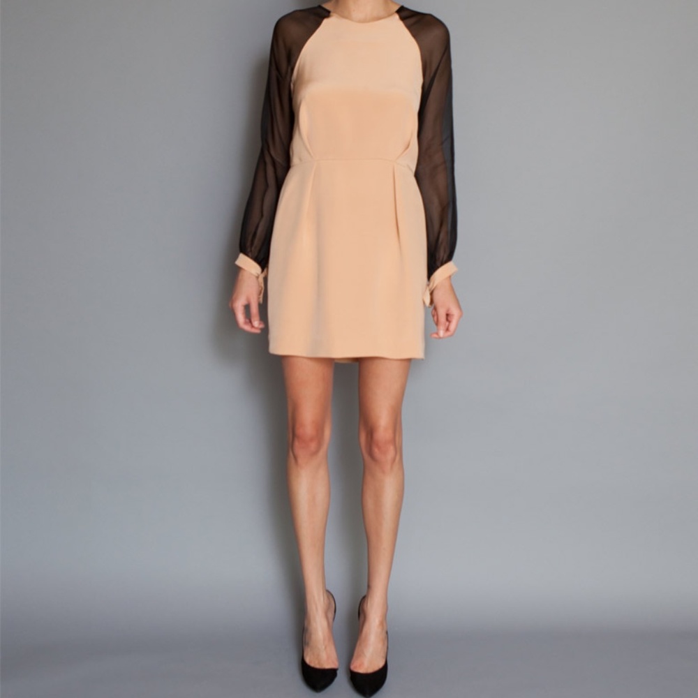 Short Dress with Sheer Sleeves